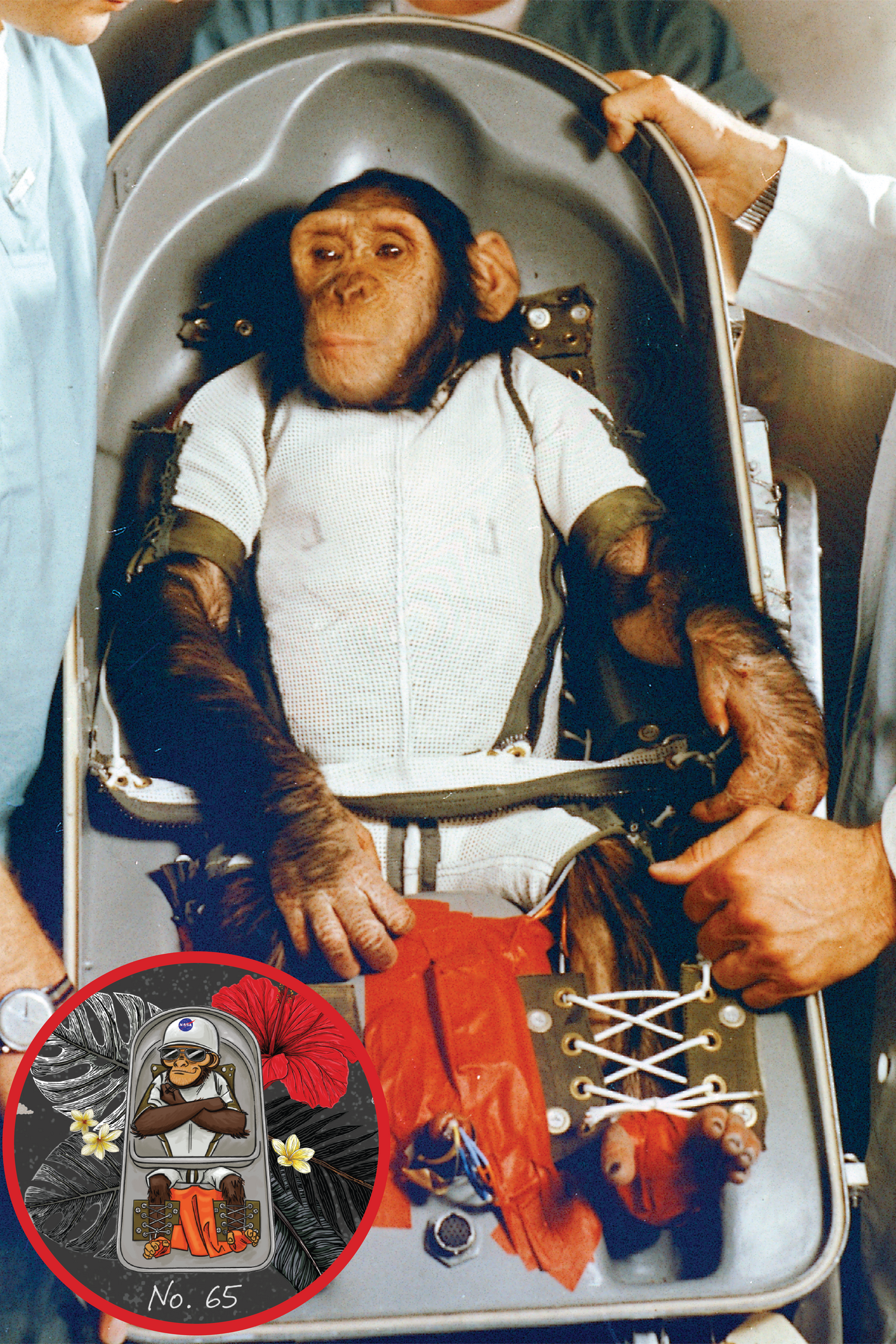 Novelty, Animals & Abstract Space collection