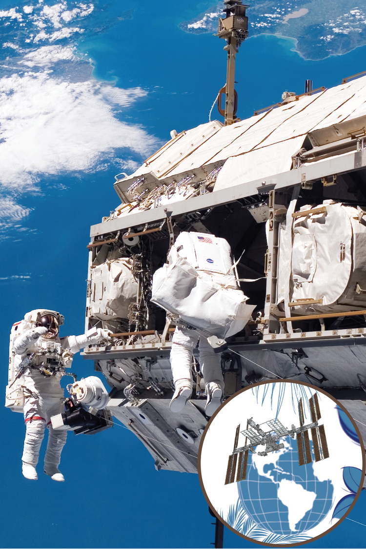 Space Shuttle & ISS collection