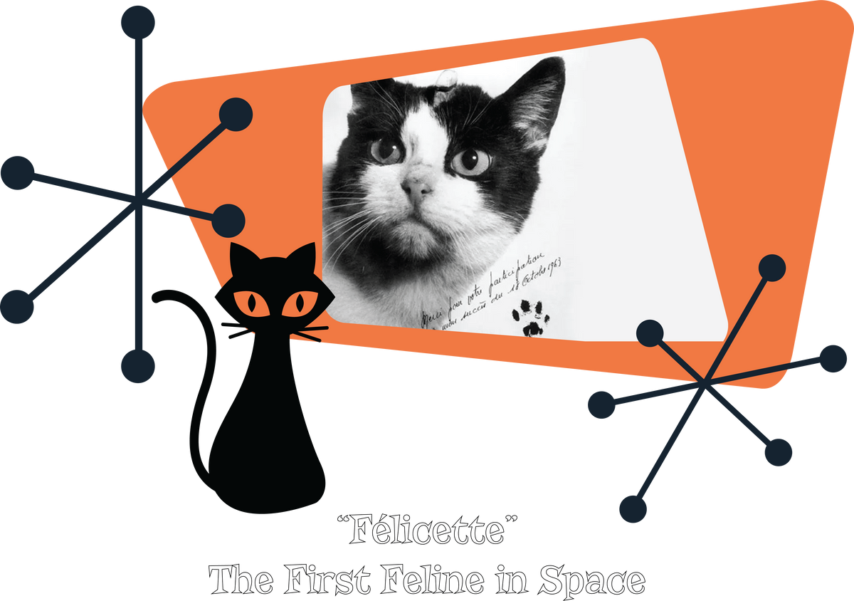 The First and Only Cat in Space