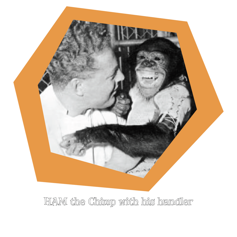 HAM the Space Chimp