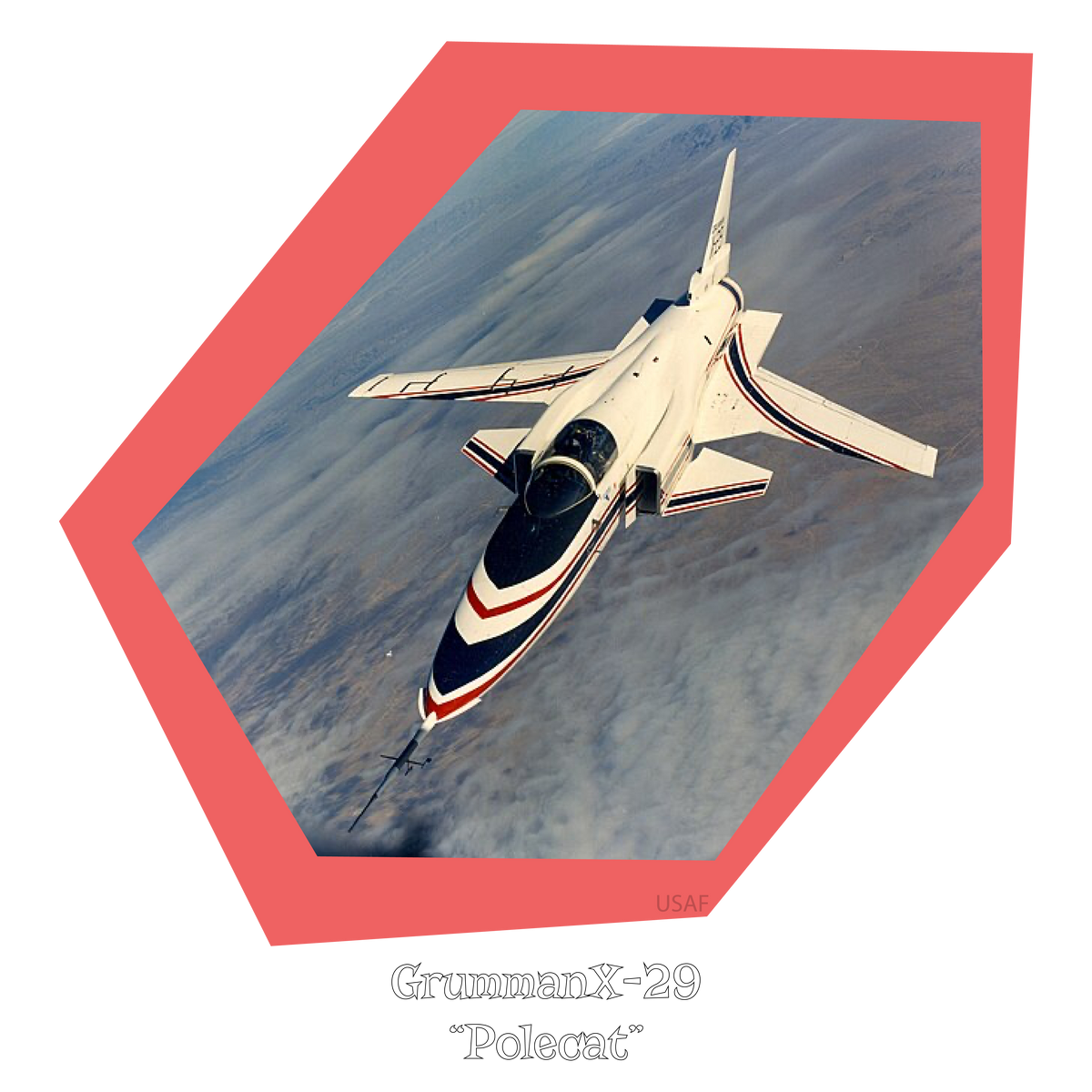 Grumman X-29 Polecat